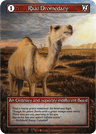 Raal Dromedary